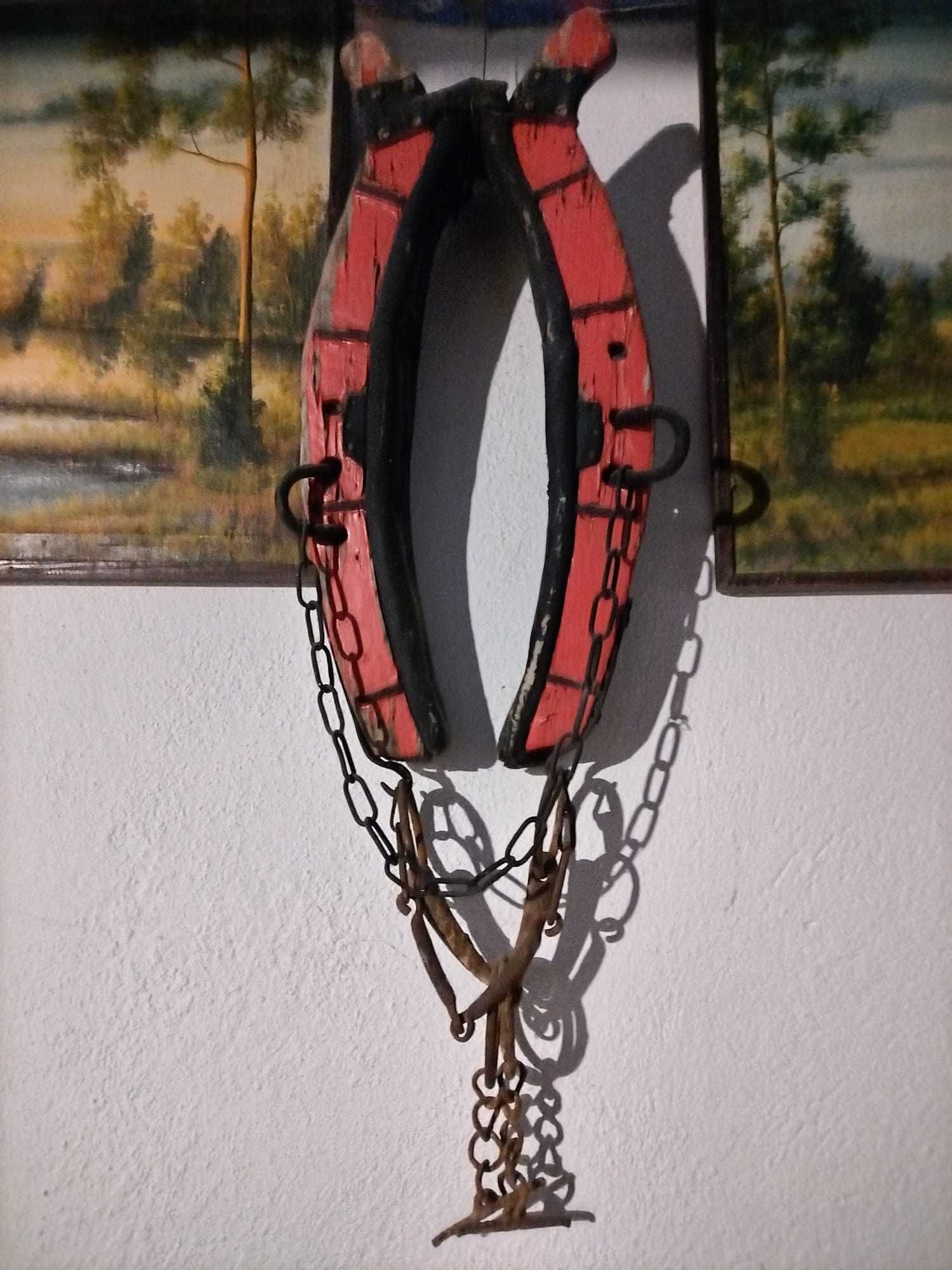 Homonta sprzedam