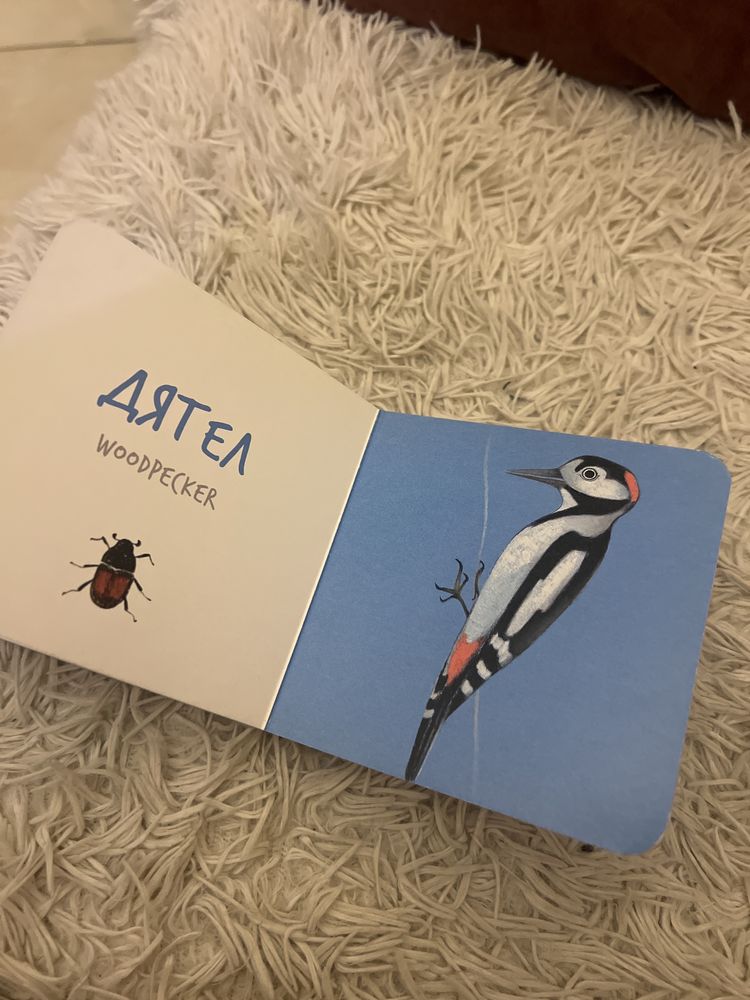 Книга птахи украінсько- аеглійська, для найменших, картон