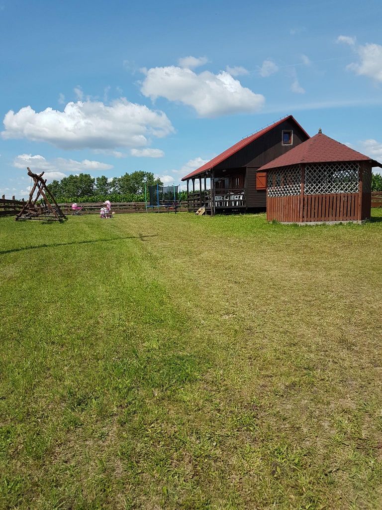 Domek letniskowy do wynajęcia