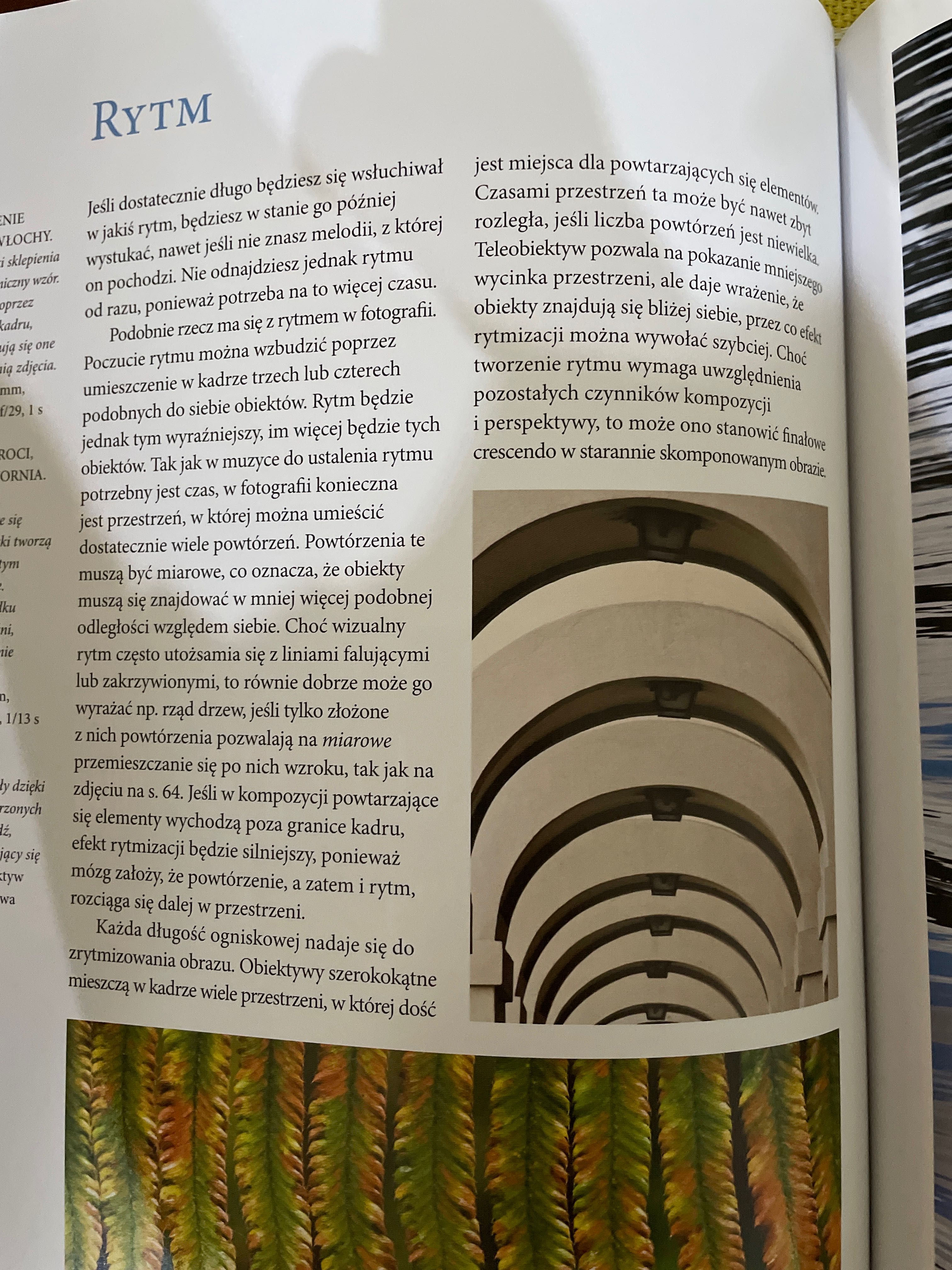 Twórcze ujęcie natury krajobrazu. Obudź w sobie fotograficzny zmysł.