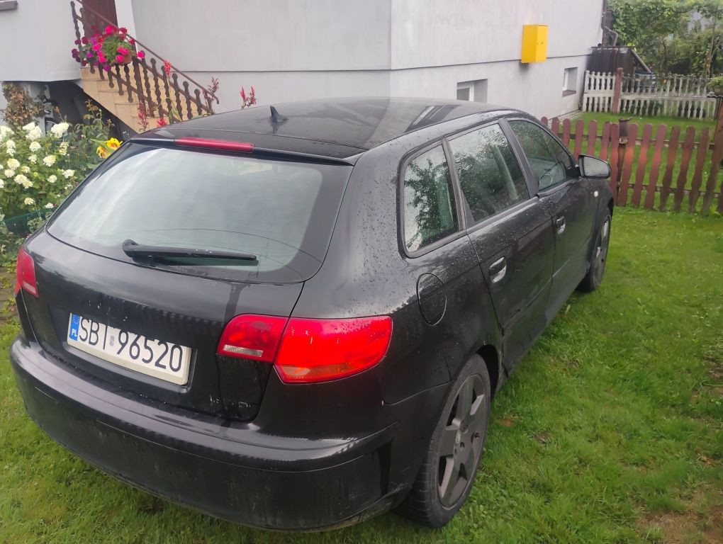 Audi a3 8P 1.9 TDi