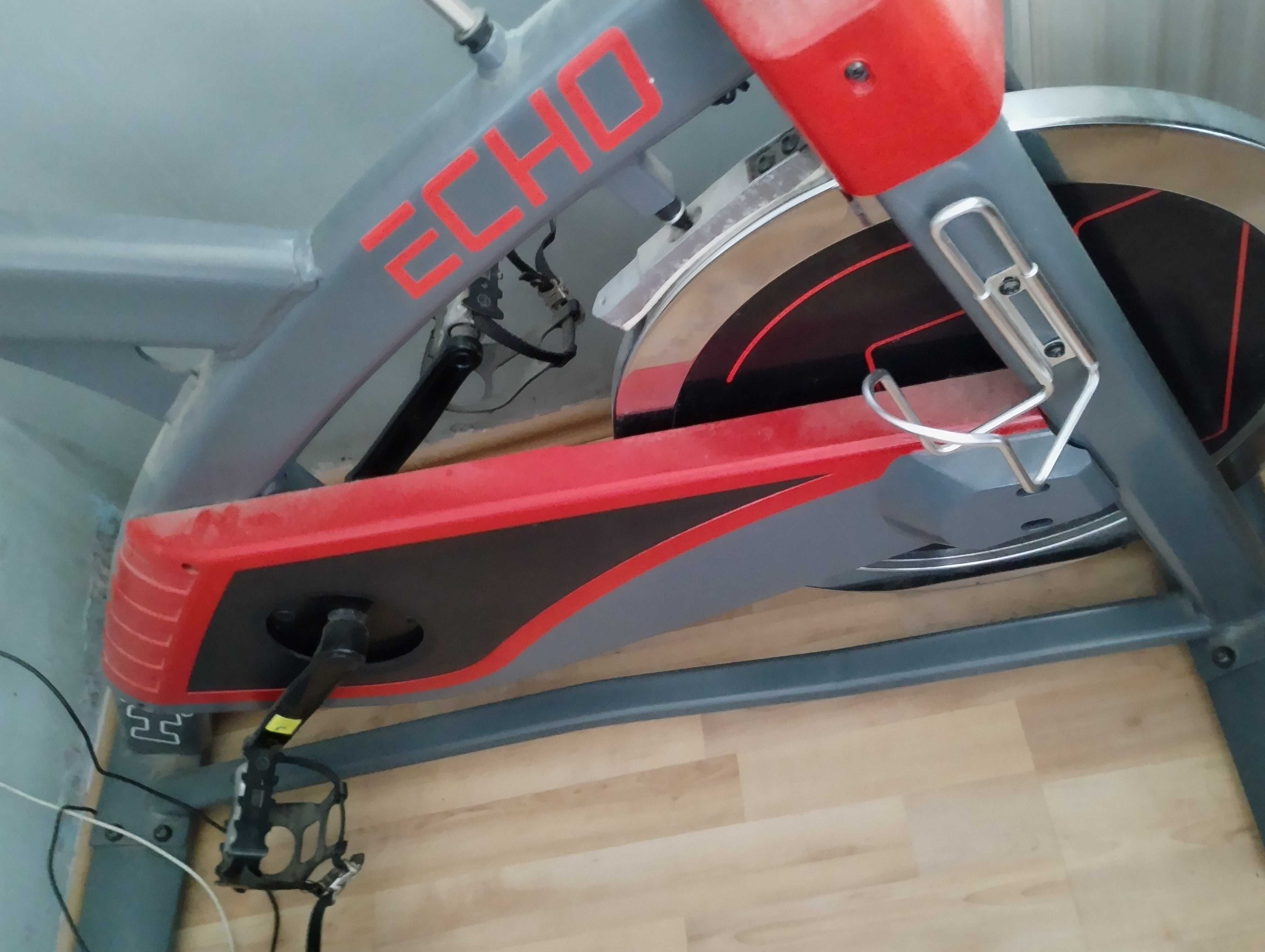 Rower spiningowy Indoor Cycling HS-055IC Echo z wolnym biegiem