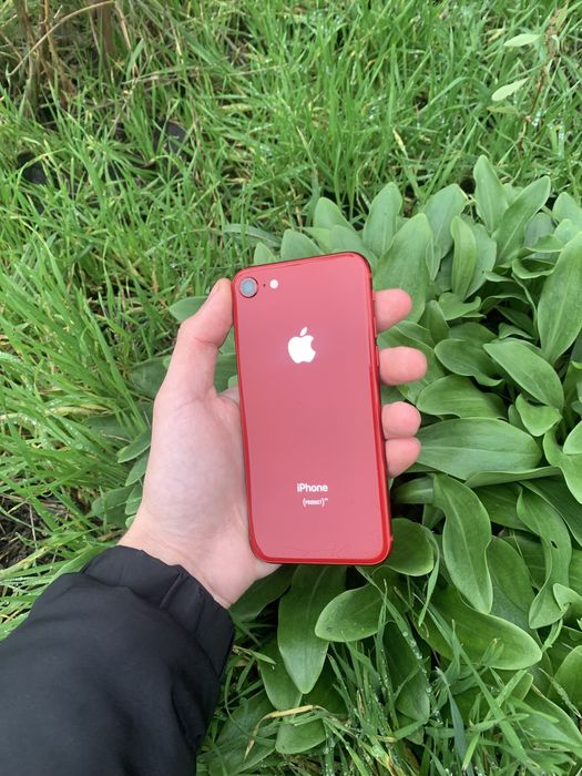 iPhone 8 Product Red 64gb 84%