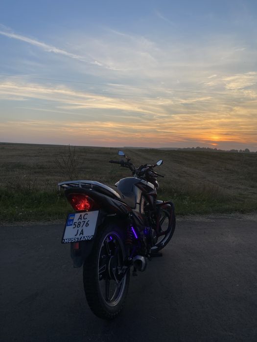 Musstang fortuna 200