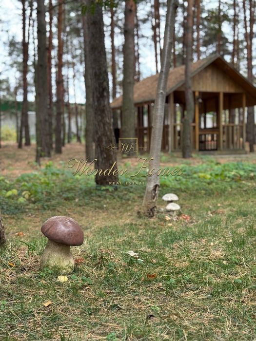 Продаж ділянки 1,7 Га Конча-Заспа та резиденції будинку 250м2