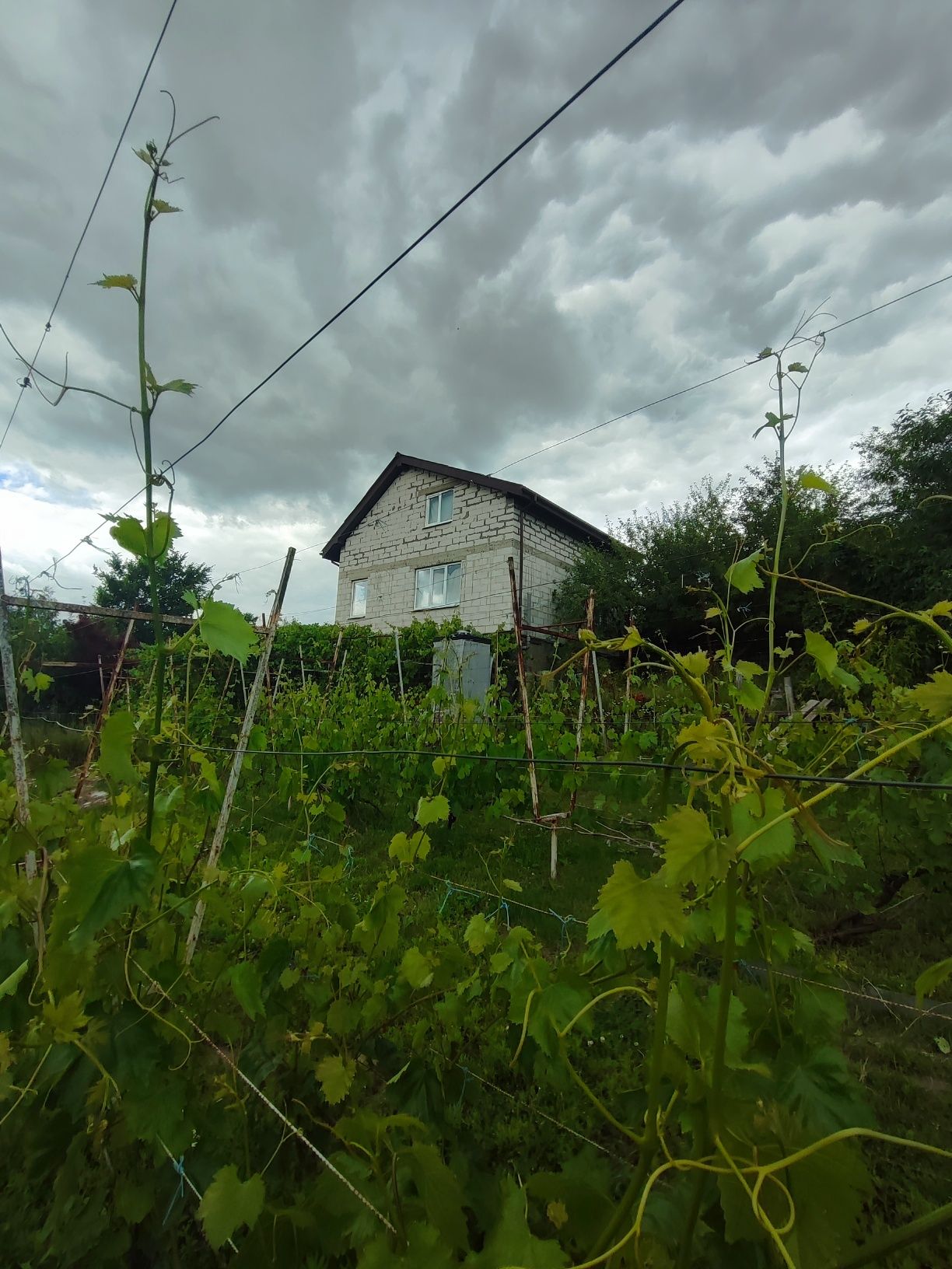 Продам дачу з земельною ділянкою в с. Ст.Безрадичі, Обухівський р-н