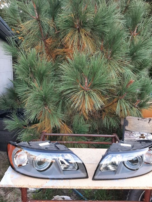 Lampy przód volvo s40 lift v50