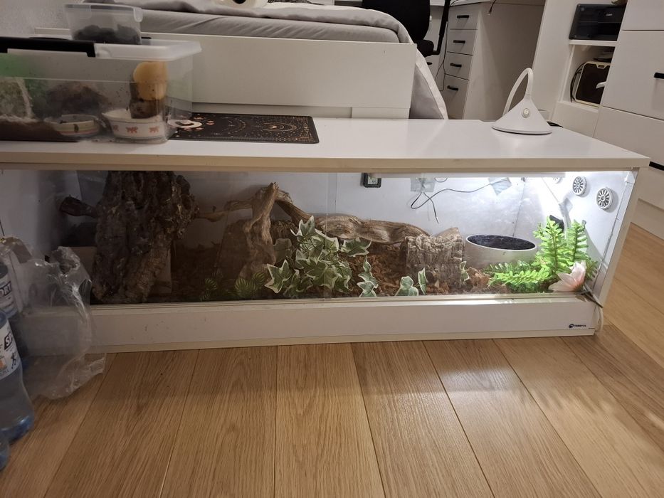 Terrarium 120x40x40 wyposażone dla weza i innych
