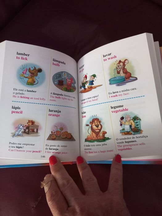Dicionário Português Inglês ilustrado - Primeira Biblioteca