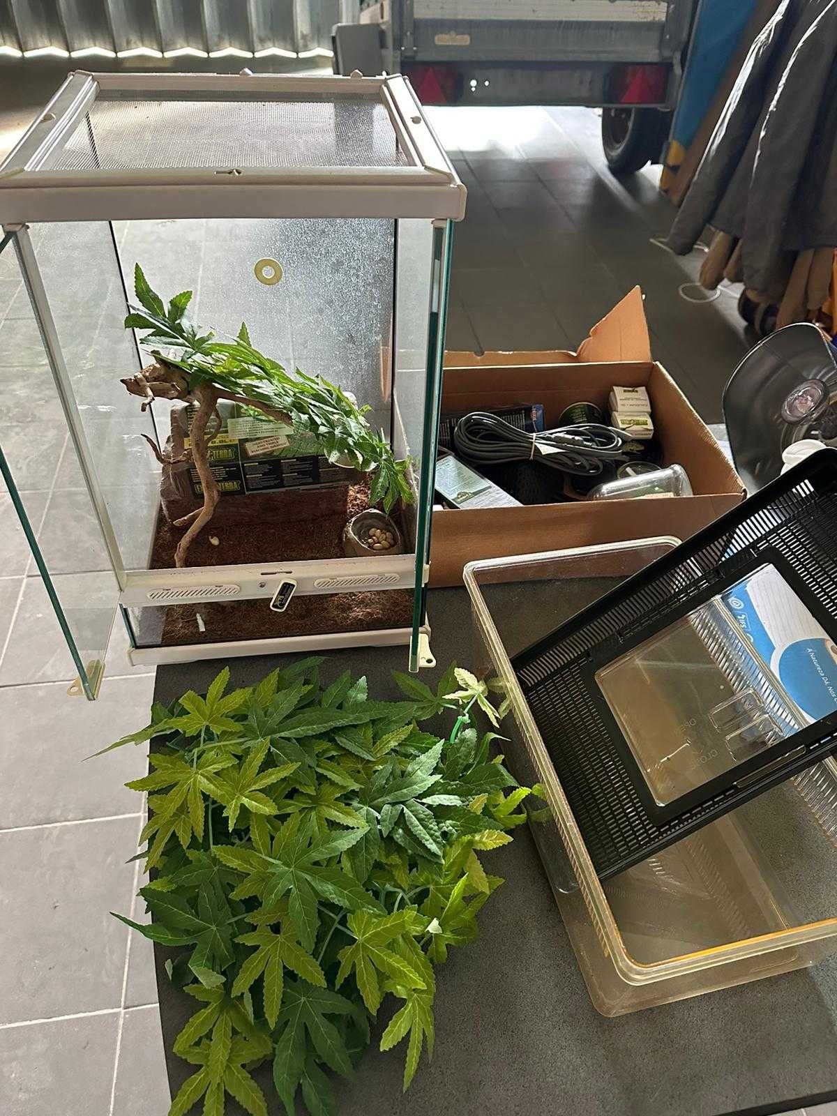 Vendo 2 terráqueos + luzes | Réptil