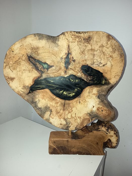 Plaster kasztanowca zielona żywica