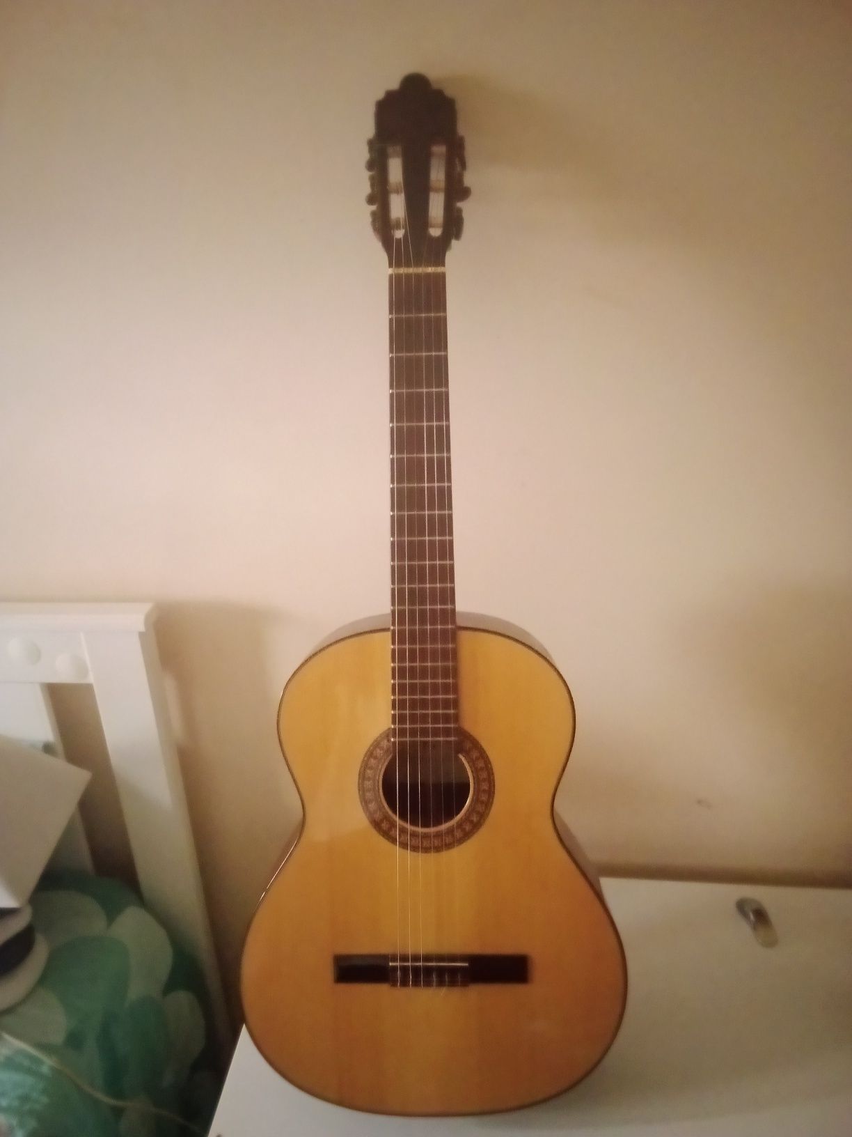 Guitarra acústica.