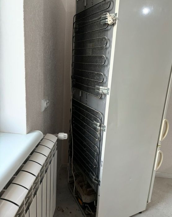 Холодильник snaige b/в ,працює,самовивіз