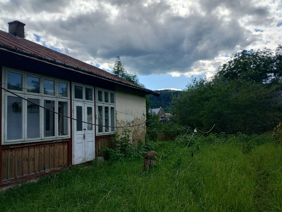 Будинок в Карпатах ( місто Косів)