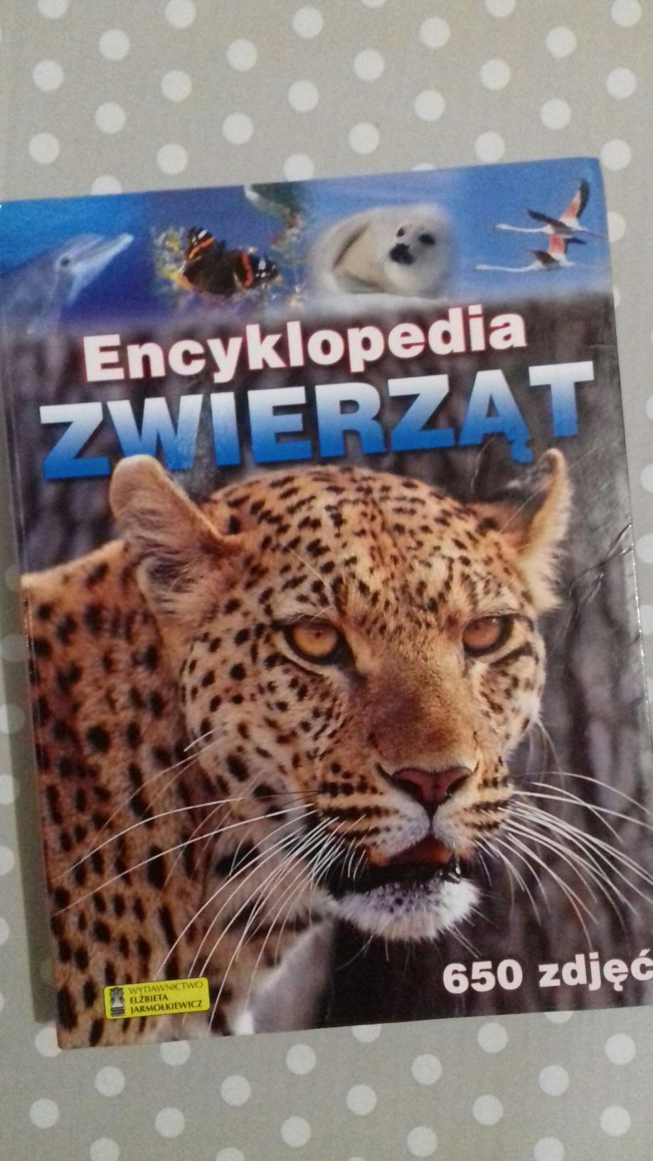 Piękna Encyklopedia Zwierząt