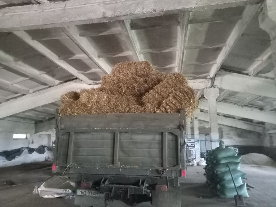 Тюки ячміні 2025