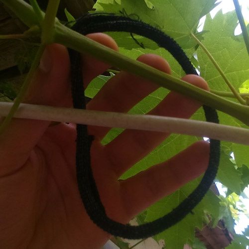 Обрізки, трикотажні кільця для підвязки винограду, кеттельна обрізь