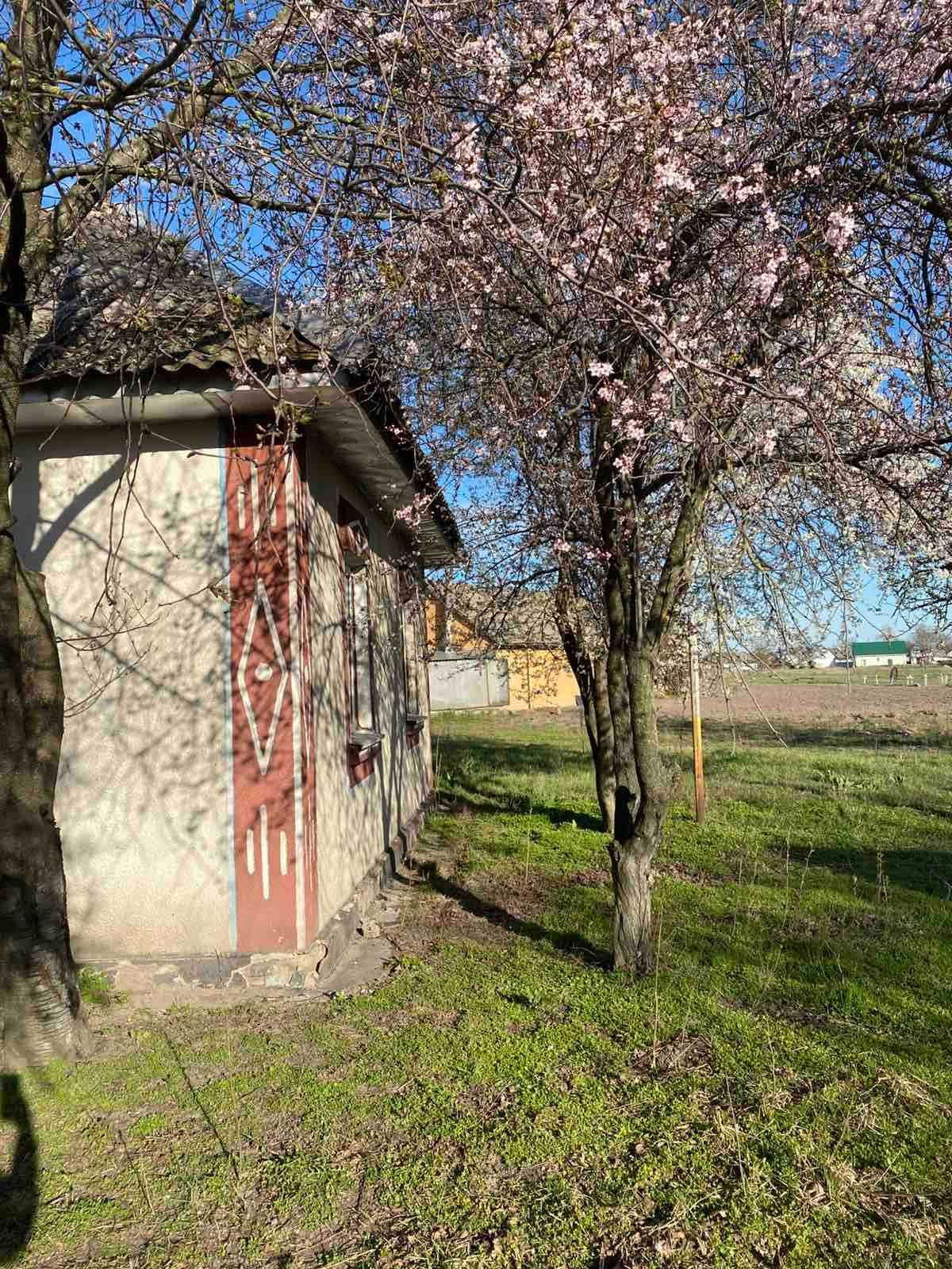 Терміново будинок в с.Богданівка, вул.Шевченка, ціна знижена!