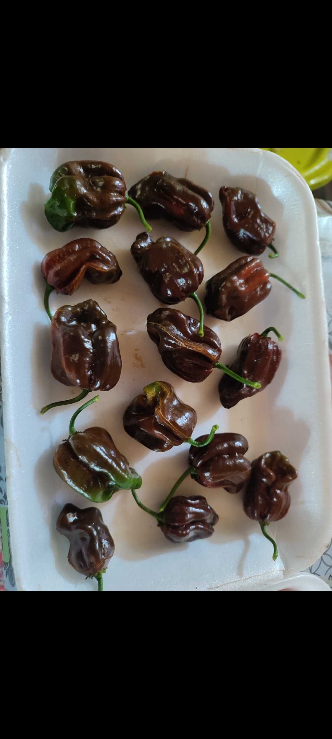 Habanero chocolate