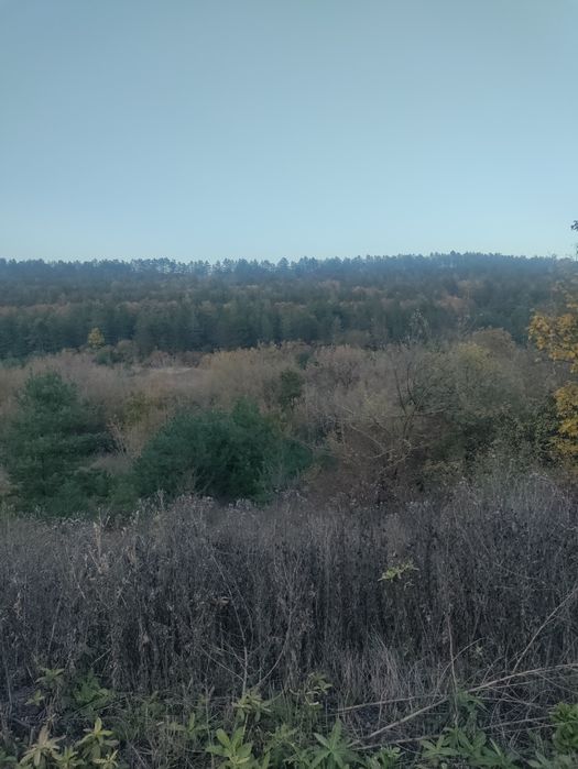 Терміново продам земельну ділянку 8 соток