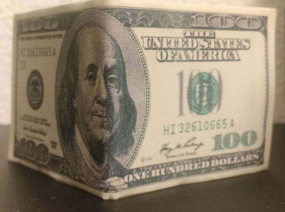 Carteira Personalizada Dólar