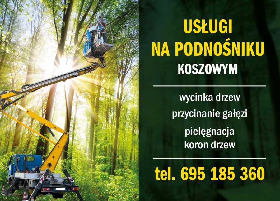 Pielęgnacja , przycinanie i formowanie krzewów ozdobnych w ogrodzie