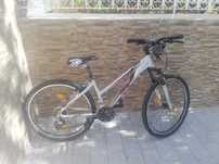 Bike berg para passeio