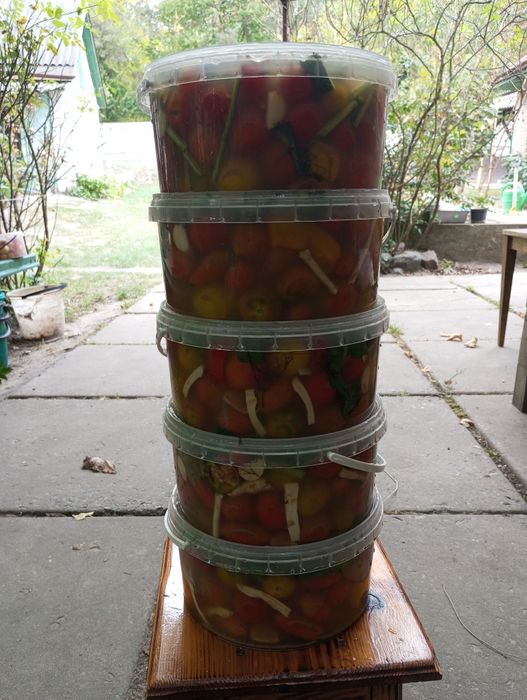 Помідори та огірки бочкові натурального бродіння.