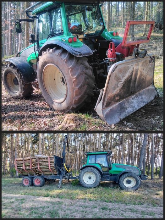 Wycinka Drzew. Prace Ogrodnicze. Transport Drewna. Podnośnik Koszowy.