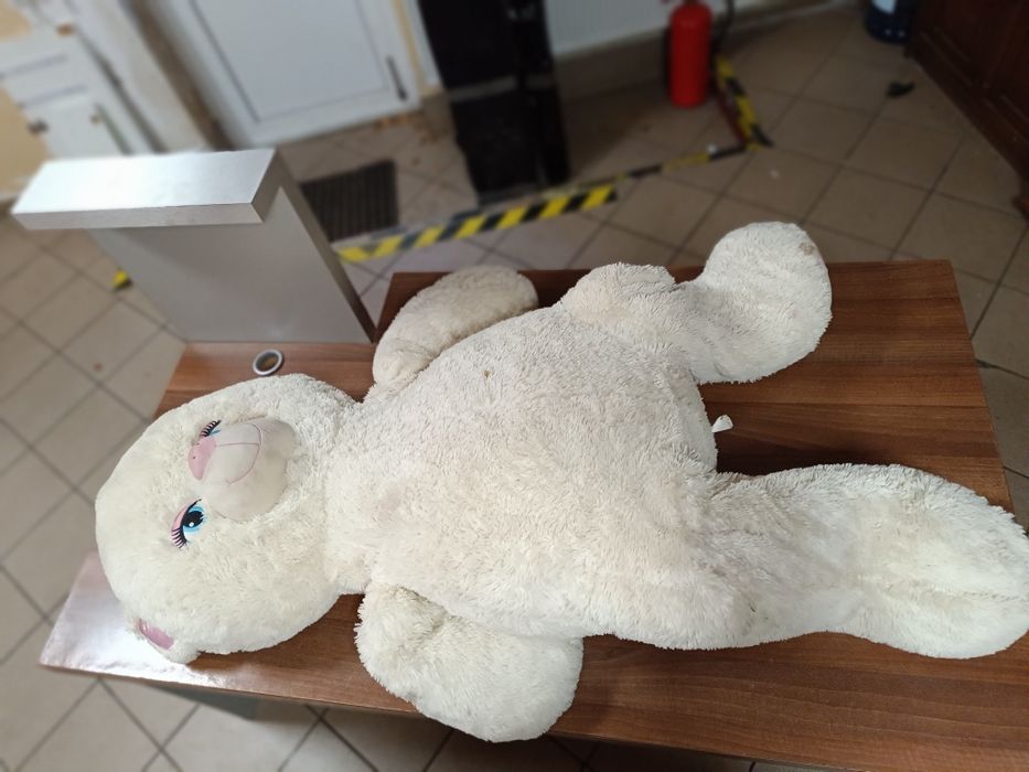 Miś pluszak misiek duży kremowy do wyczyszczenia