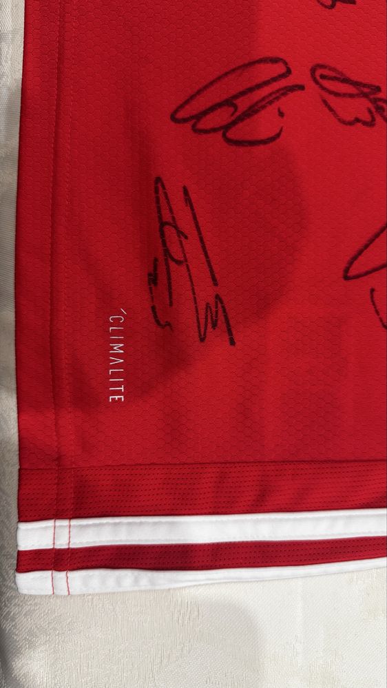 Camisola benfica 19/20 oficial