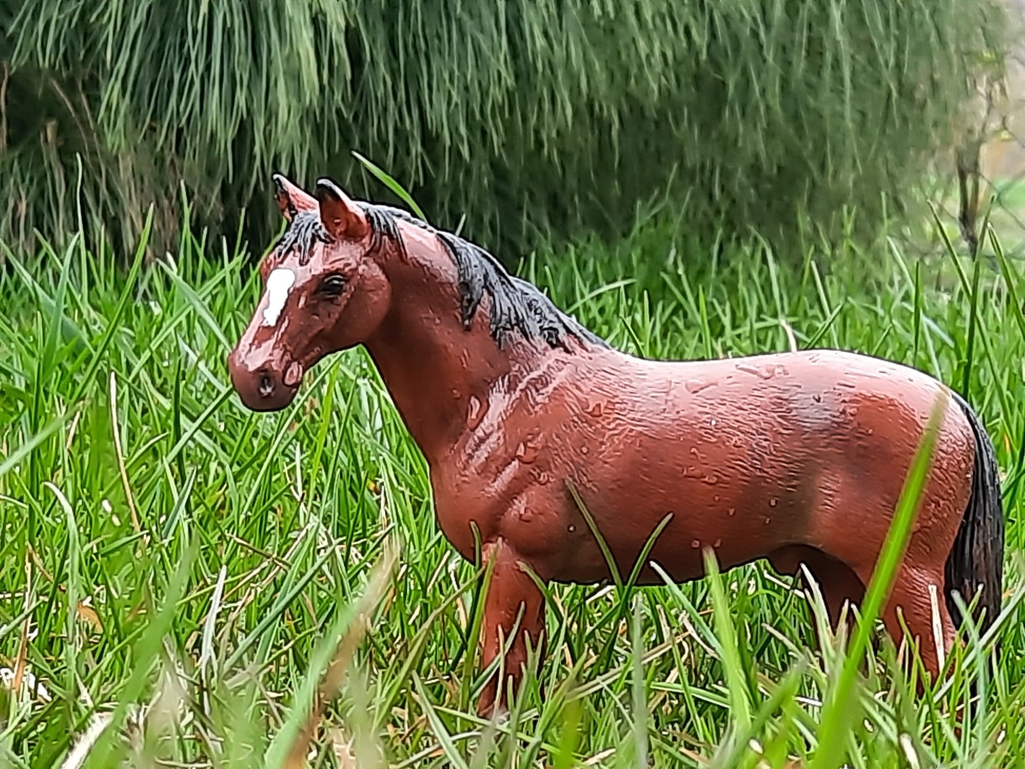 Castom model konia schleich rasa Hanowerskiej