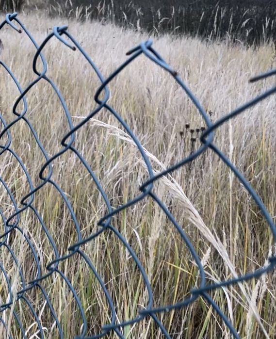 Сітка рабиця, зелена 1,50х40 метрів б/у