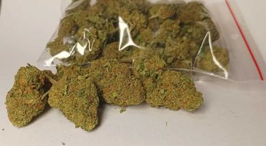Gorilla susz CBD 33% THCP Ganja (bez HHC-O) Marihuana 10g