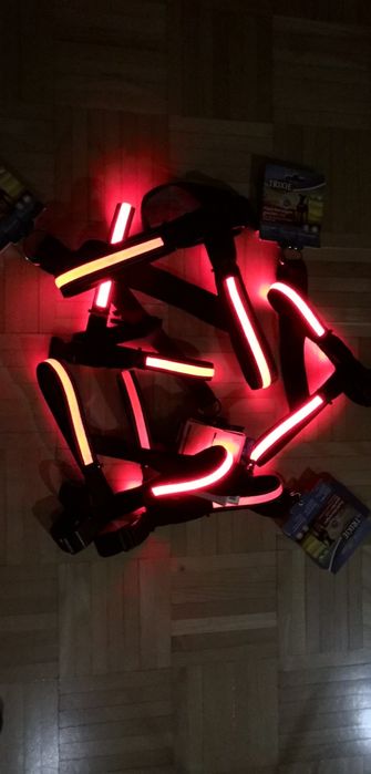 Psiowe szelki, uprząż TRIXIE świecące szelki norweskie ładowane z USB