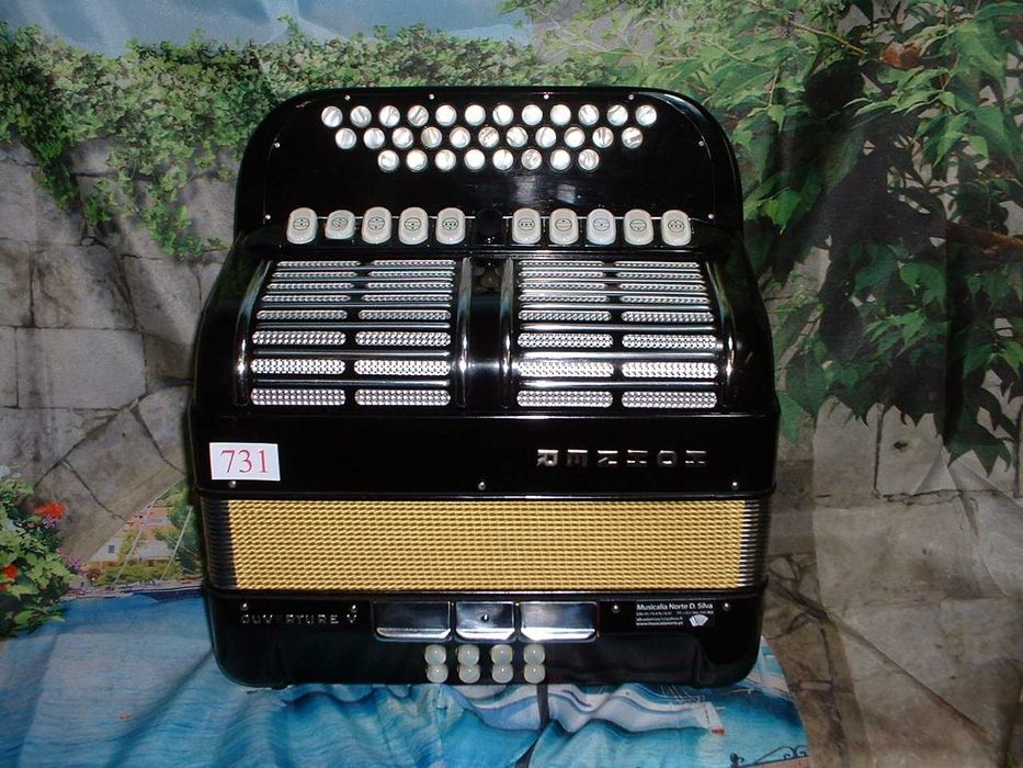 Concertina a venda n.731