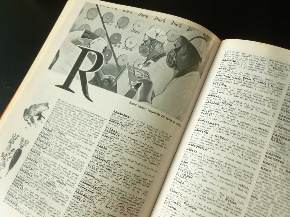 Dicionário Prático Ilustrado Luso - Brasileiro - Lello