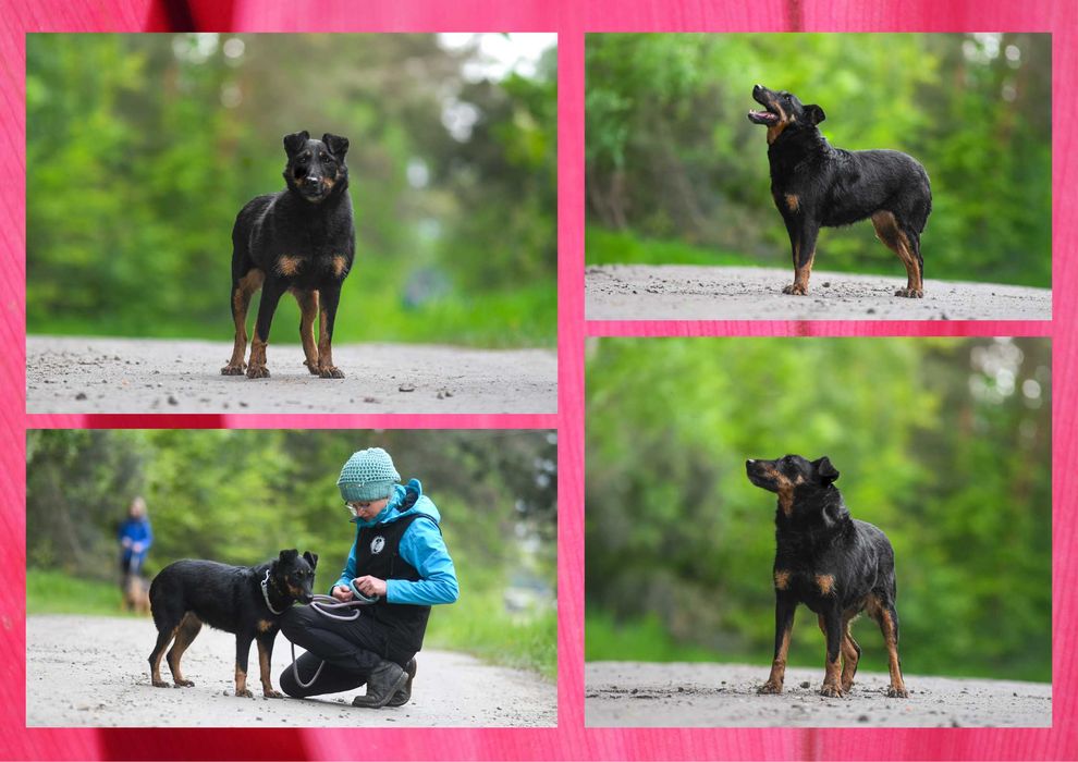 OMINA - marzy o nowym domu i rodzinie :)