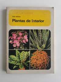 Plantas de Interior