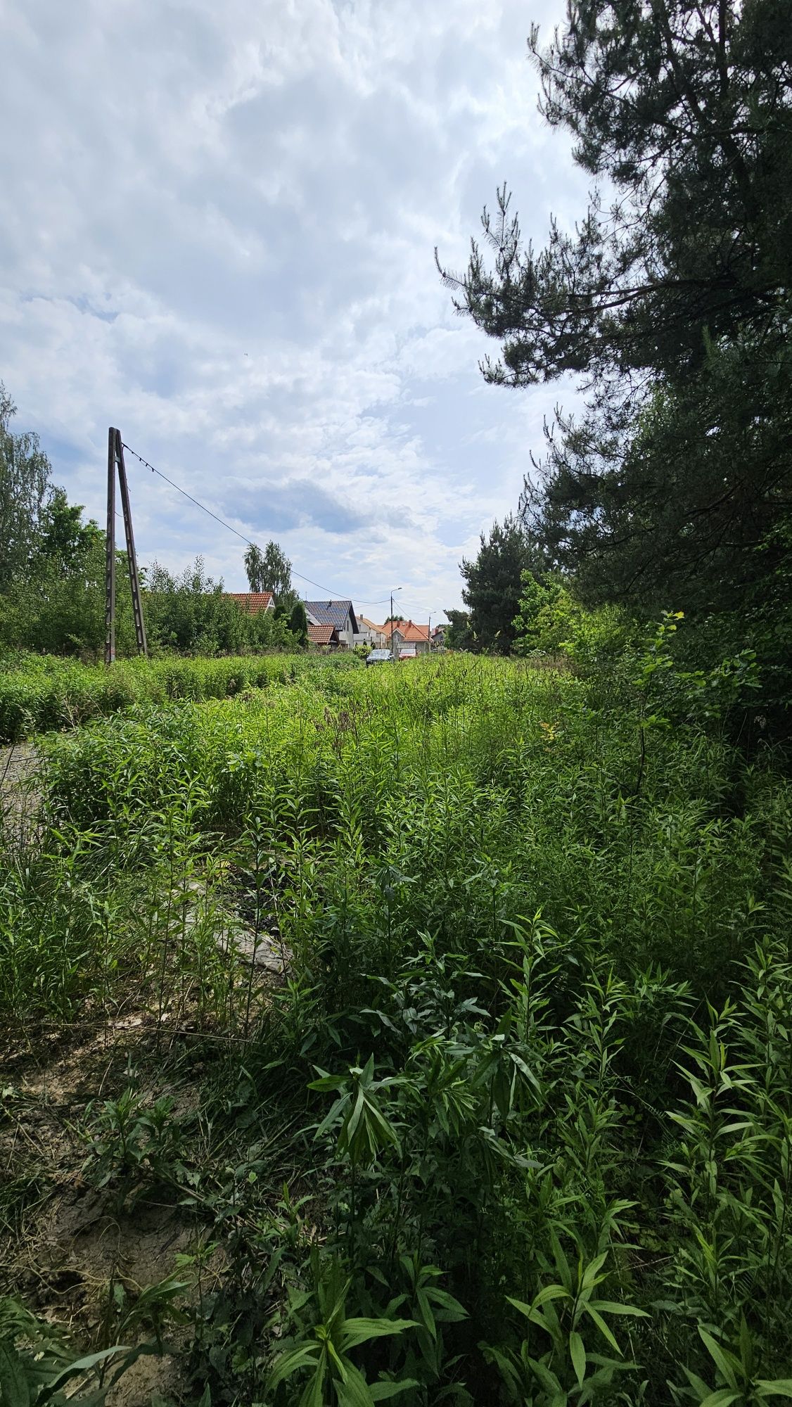 Działka budowlana inwestycyjna CISIE gmina Halinów 3400m2