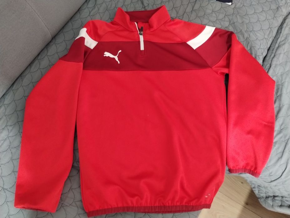 Bluza chłopięca puma+ kurtka