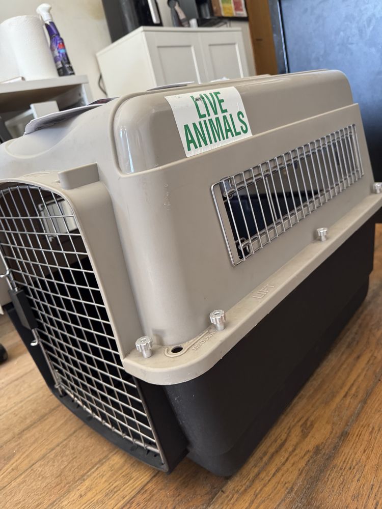 Caixa Transportadora - casa pet Vari Kennel