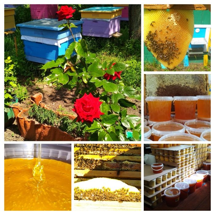 Мед з власної пасіки 2025року,,різнотрав'я, опт/роздріб