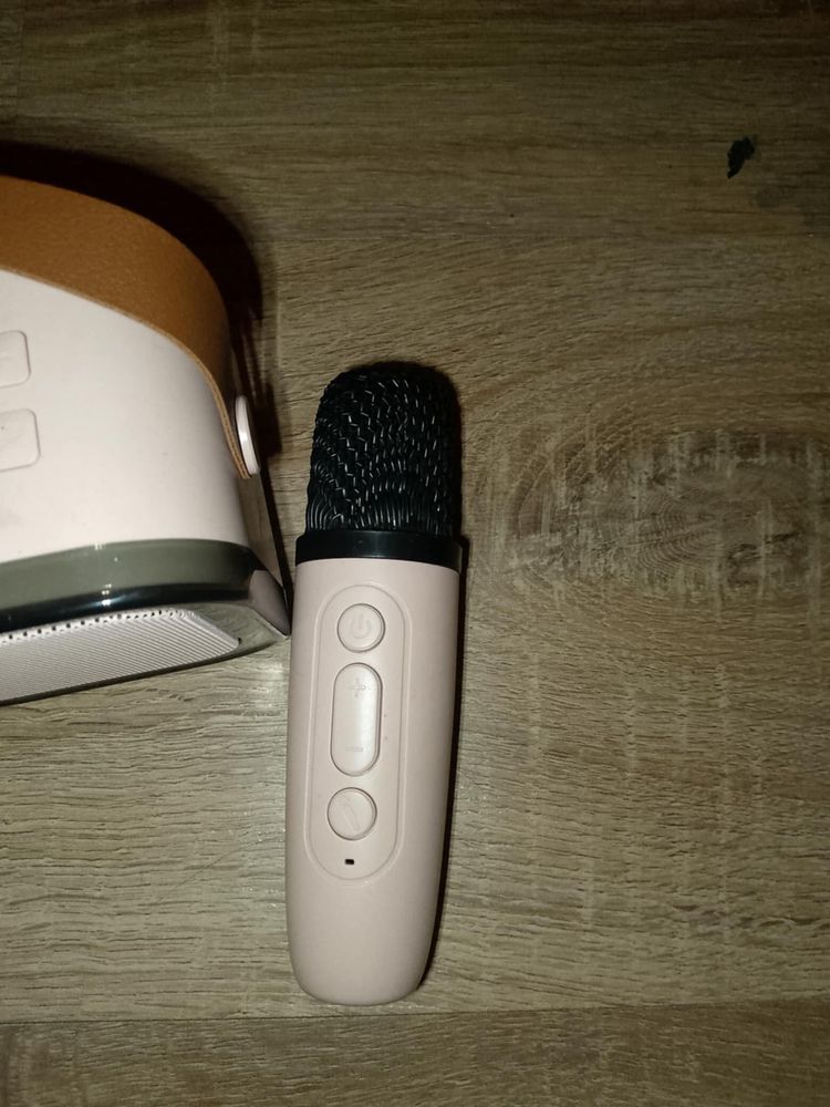 Glosnik do karaoke z mikrofonami