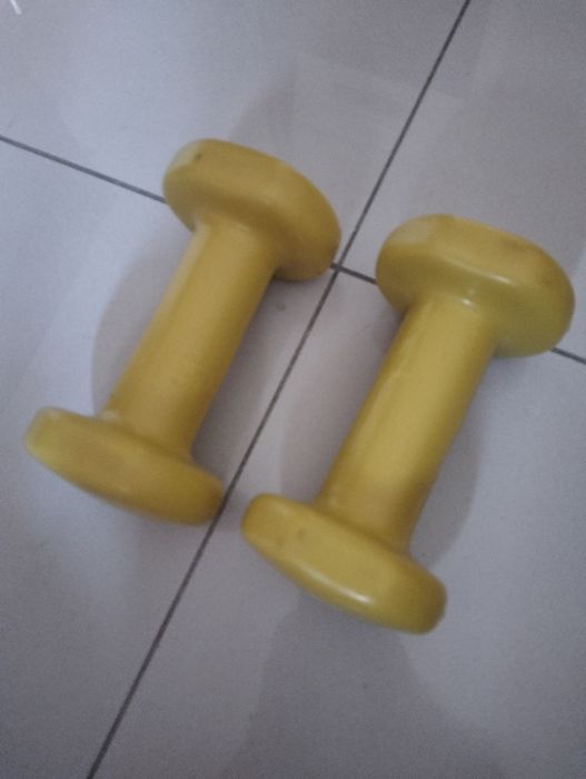 Halteres com 2 Kg