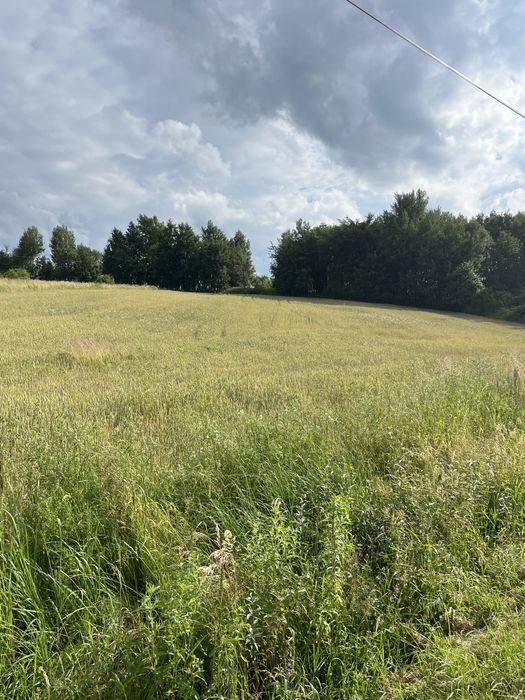 Działka budowana Lutoryż (Boguchwała) wydane wz