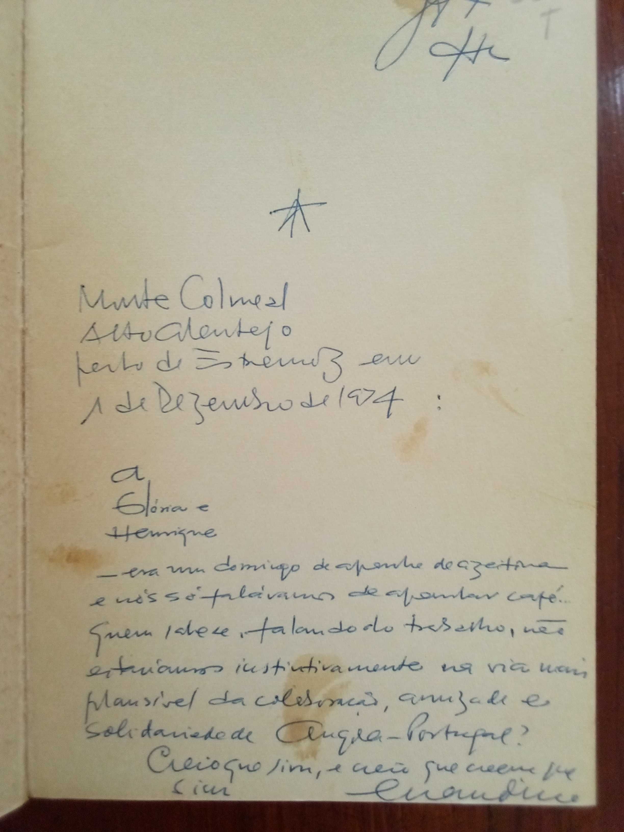 José Luandino Vieira - A vida verdadeira de Domingos Xavier