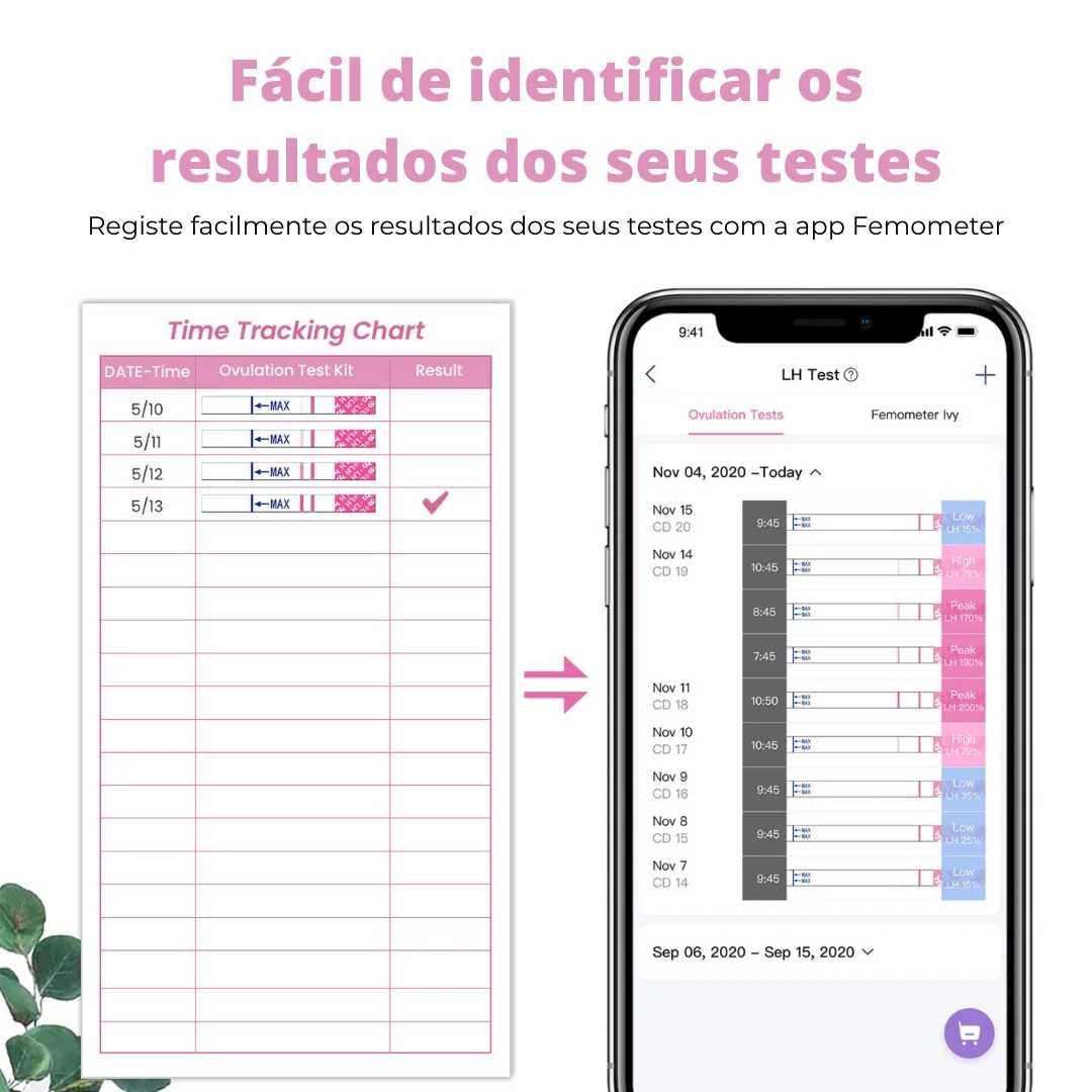 2 Testes de Gravidez (Marca Femometer) Portes Grátis