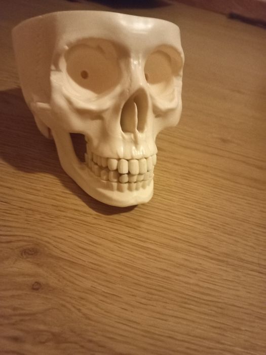 Conjunto material didático