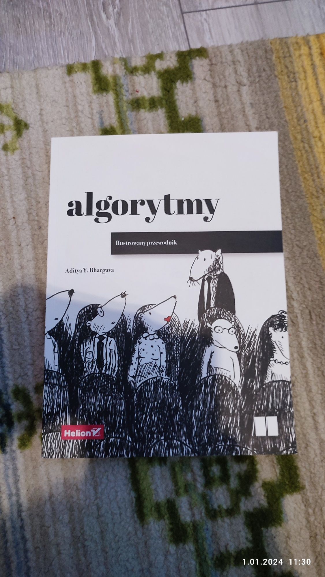 Algorytmy ilustrowany przewodnik